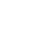 World Experience Organization logo